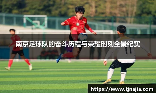 南京足球队的奋斗历程与荣耀时刻全景纪实